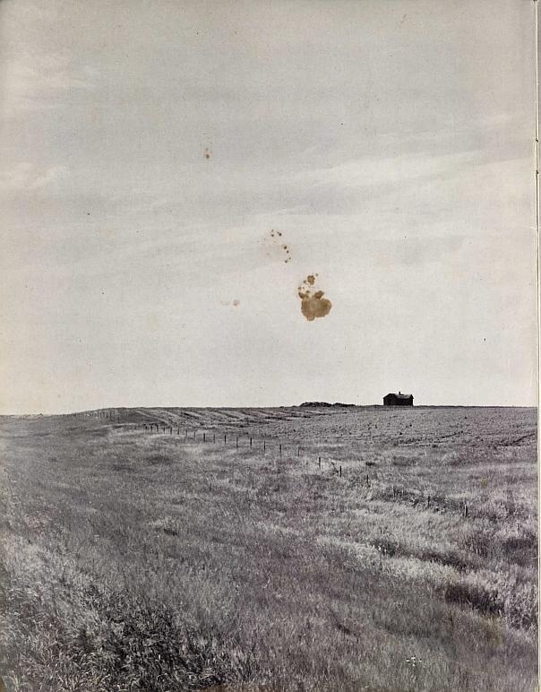 And It Is Divine magazine