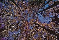 And It Is Divine magazine