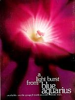 And It Is Divine magazine