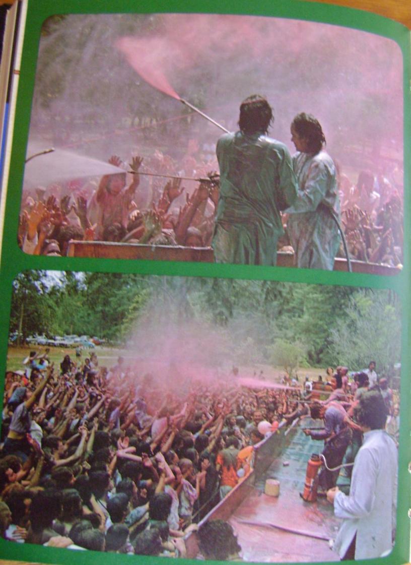 Holi Shmoley