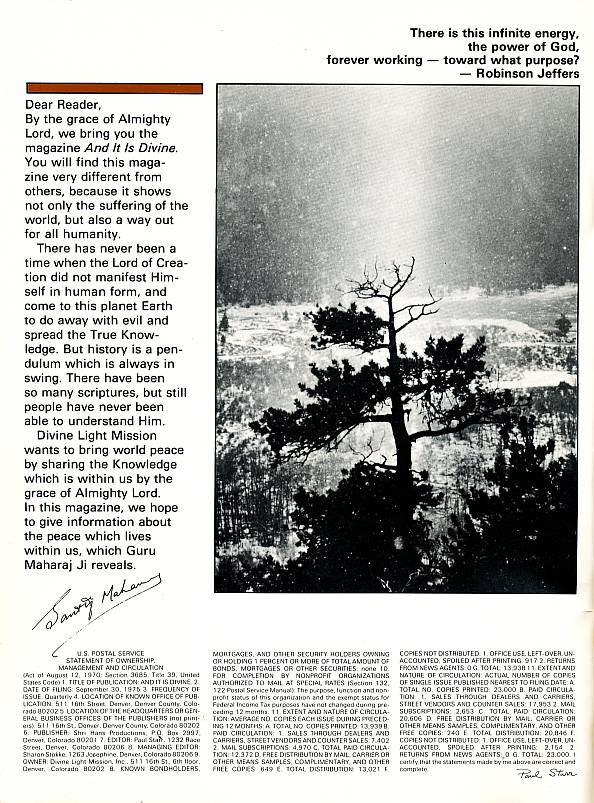 Tree In Moonlit Snow