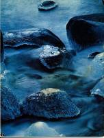 And It Is Divine magazine