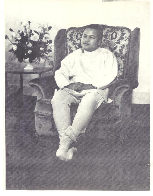 Prem Rawat aka Guru Maharaj Ji &ndash; Divine Light magazine Guru Puja Special 1973