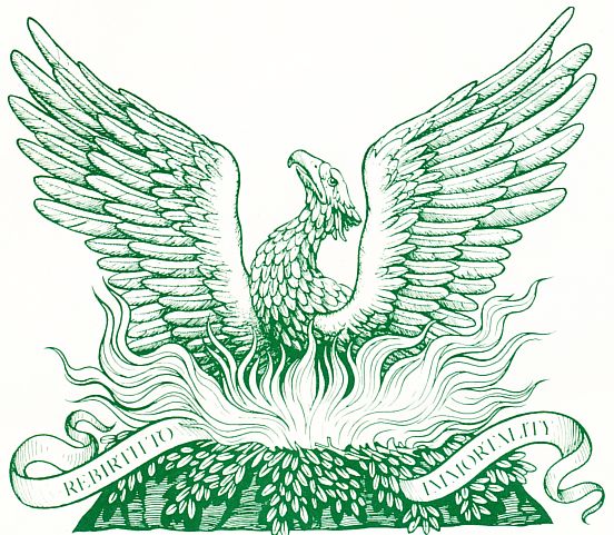 3RD World Logo