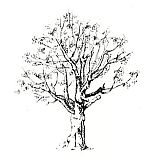 Divine Times Magazine About Prem Rawat (Maharaji)