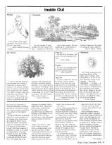 Divine Times Magazine About Prem Rawat (Maharaji)