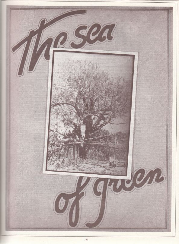 The sea of green The sea of green