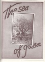 Golden Age magazine about Prem Rawat aka Maharaji