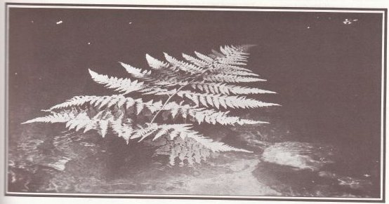 Prem Rawat: The Golden Age magazine