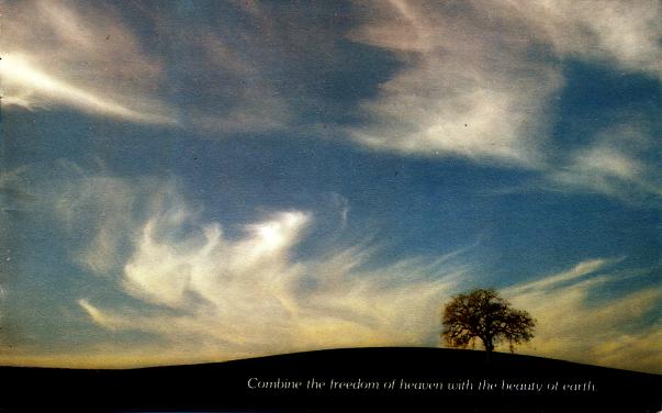 Changing the World by Changing People's Hearts