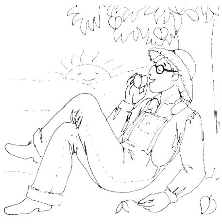 Hans Jayanti Gazette VOLUME 1, ISSUE 1