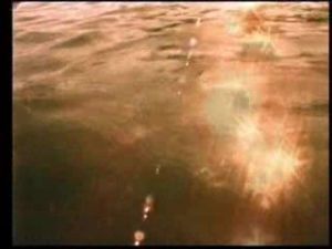 Prem Rawat Inspirational Speaker Shines