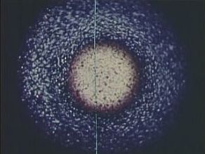 Who Is Guru Maharaj Ji? Divine Light Show