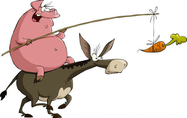 Donkey and Carrot