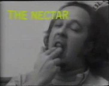 Nectar Meditation Technique