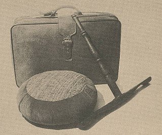 Have Beragon Will Travel