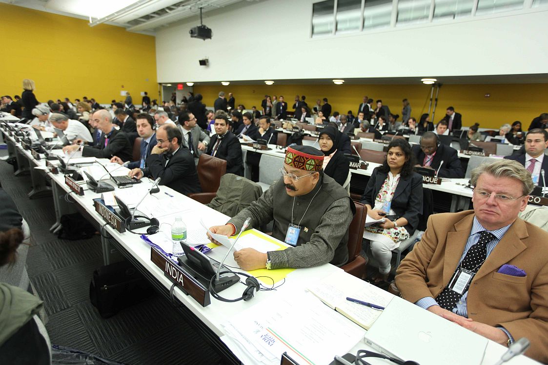 Prem Rawat's Brother at the United Nations Organisation