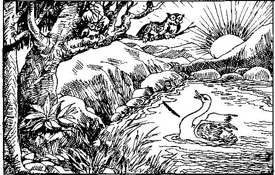 The Secret Knowledge - Satpal Ji Maharaj