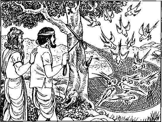 The Secret Knowledge - Satpal Ji Maharaj