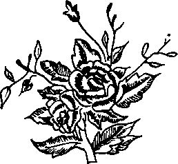 The Secret Knowledge - Satpal Ji Maharaj