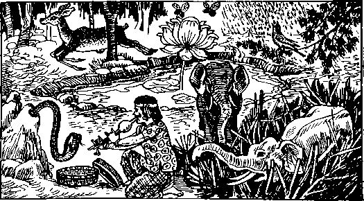 The Secret Knowledge - Satpal Ji Maharaj