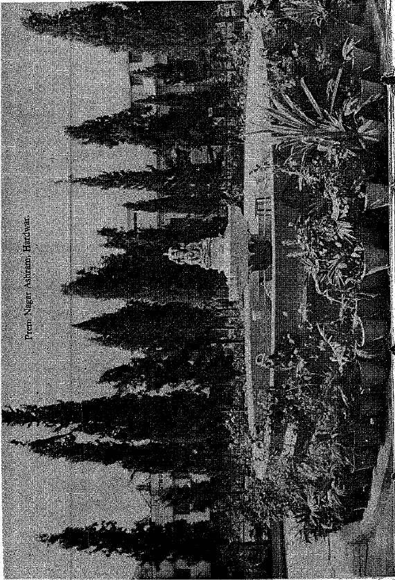 Prem Nagar Ashram, Hardwar