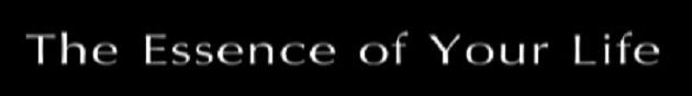 The Essence of Your Life