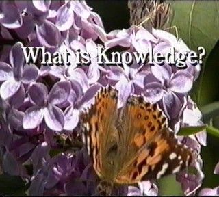 The Bridge video
