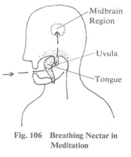 Kechari Mudra