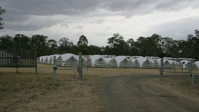 The Words Of Peace conference Ivory's Rock Conference Center Followers of " The Maharaji" gather at Peak Crossing