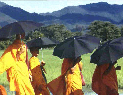 Monks