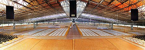 2_venue_half (23K)