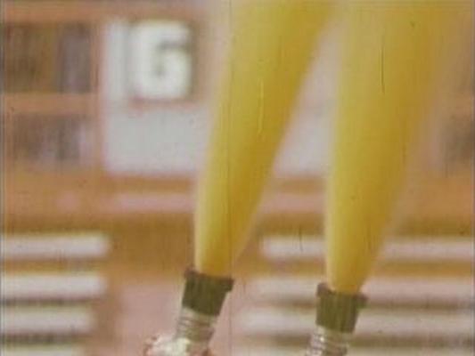 Divine Light Mission Holi Festival 1978