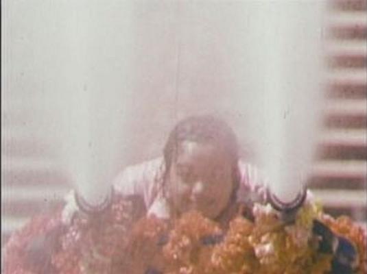 Divine Light Mission Holi Festival 1978