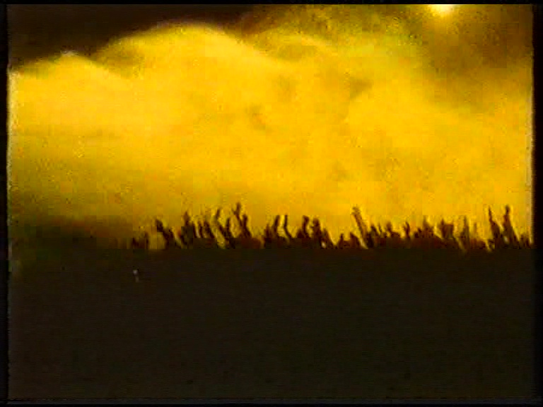 Holi 83 Lightshow Holi