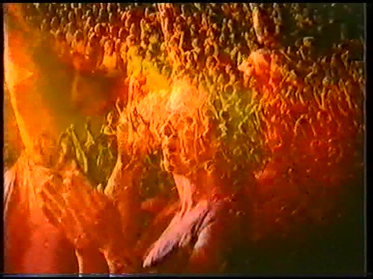 Holi 83 Lightshow Holi