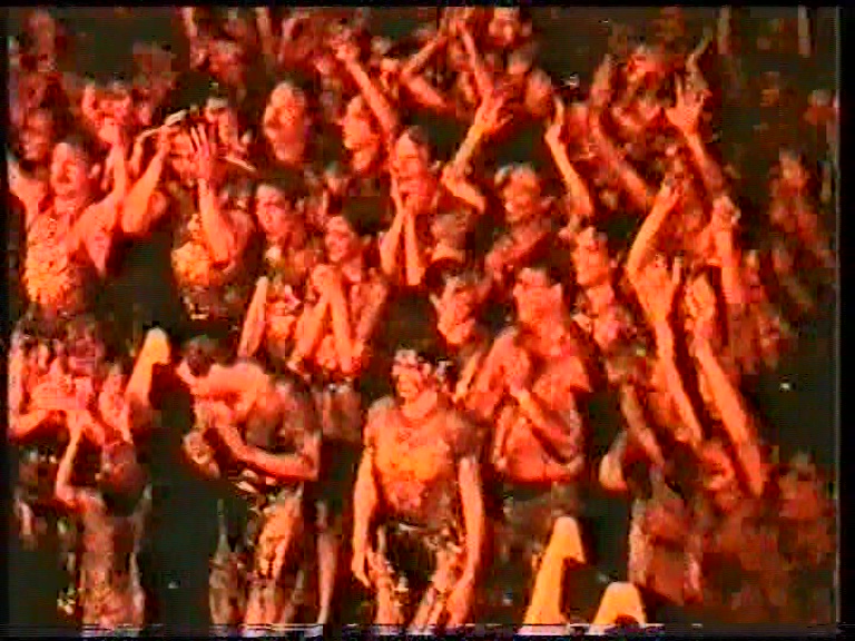 Holi 83 Lightshow Holi